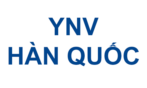 Van YNV (HÀN QUỐC)